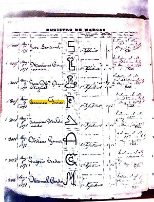 Archivo:Registro provincial de marcas de Zapala