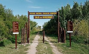 Archivo:Reserva Natural Municipal "Bajo de Bordenave"