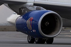 Archivo:SU-GCJ A330 Egyptair engine (4181742163)