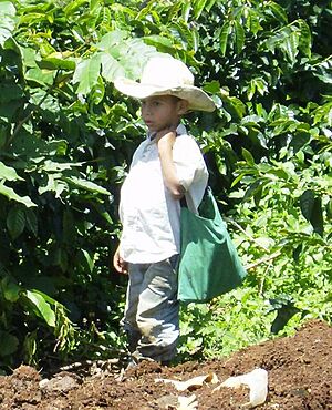 Archivo:San Andres,Lempira 8