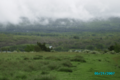 Sanabria