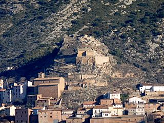 TARTAREU - IB-053.jpg