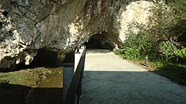 Entrada a la Cueva de Tito Bustillo