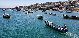 Archivo:Tongoy Chile 2
