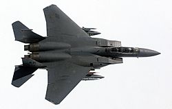 Archivo:USAF F-15D Top