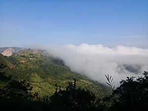 Archivo:Vereda el Topón 