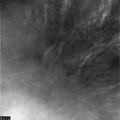 Victoria clouds