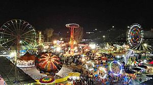 Archivo:Vista aerea Campo de la Feria