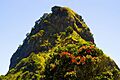 Waitakere Piha n