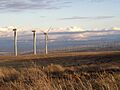 WindTurbinesBlueMountains