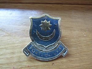 -2019-08-21 Portsmouth F.C. football Pin badge.JPG