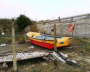 Archivo:2010 Chile earthquake - Boat after tsunami in Pichilemu