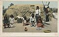 A Pima Wickiup (NBY 428672)