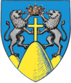 Actual Suceava county CoA