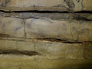 Archivo:Altxerri cave - Bison 2