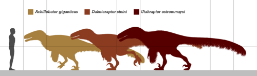 Archivo:Biggest Raptors