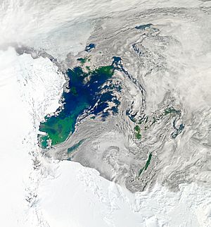 Archivo:Bloom in the Ross Sea