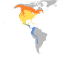 Catharus ustulatus map