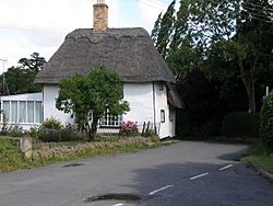 Cottage in Alconbury - geograph.org.uk - 1420155.jpg