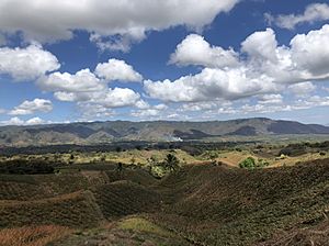 Archivo:Cultivos de Piña en el municipio de Ticuantepe