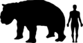 Diprotodon-Human Size comparison