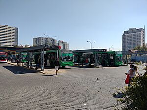Archivo:Estación Intermodal Lo Ovalle 03