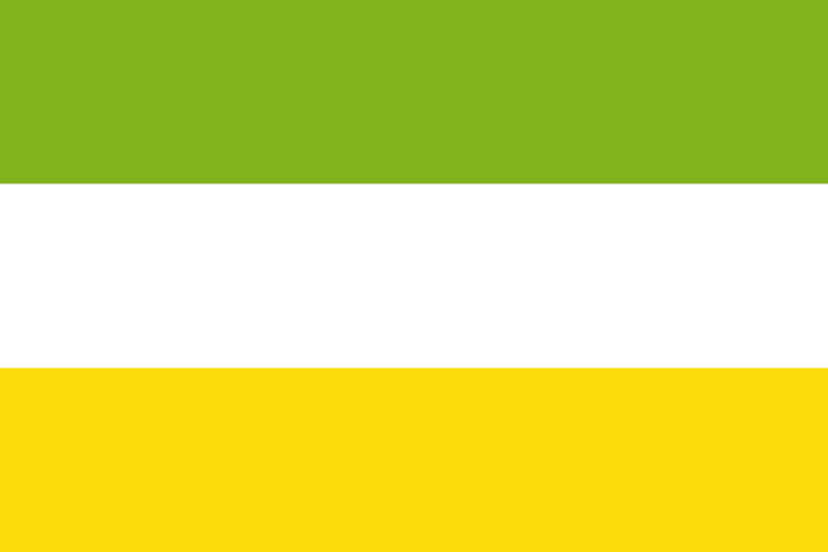 Flag of San Martín (Meta)