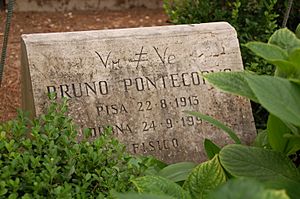 Archivo:Gravestone of Bruno Pontecorvo - Cimitero acattolico di Roma - Italy - 1 July 2011