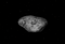 Hermippe (moon).png