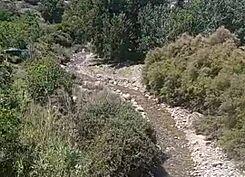 IMG RioBacares089 (cropped).jpg