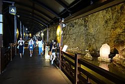 Archivo:Iwaya Caves - Enoshima, Japan - DSC07913