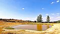 Lagunilla en Navarredonda de la Rinconada