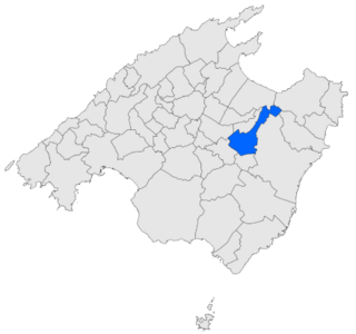 Localització de Petra respecte de Mallorca.svg