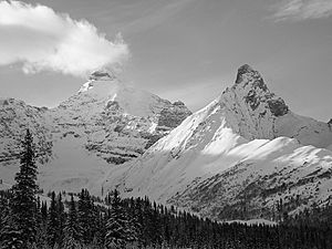 Archivo:Mount Athabasca