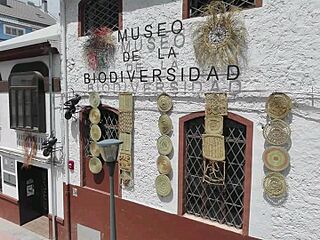 Museobioalicante2.jpg