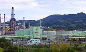 Archivo:Muskiz - Refinería de Somorrostro (Petronor) 5