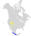 Oreothlypis virginiae map