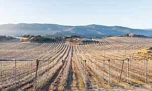 Archivo:Paisaje junto a Castillo de Lerés, Huesca, España, 2015-01-07, DD 02