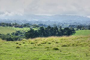 Archivo:Paracito, Moravia, Costa Rica 8