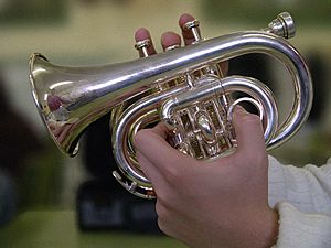 Archivo:Pocket trumpet