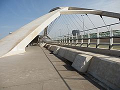 Puente Tercer Milenio Zaragoza 19