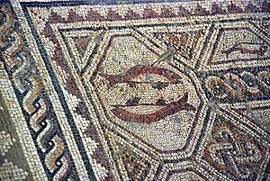 Archivo:Quintanilla de la Cueza Villa romana Tejada Habitación 20 Mosaico de los Peces 002