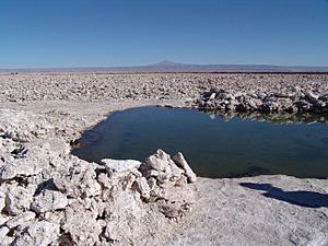 Archivo:Salar de Atacama 