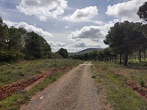 Archivo:Sierra de Bienvenida y La Capitana