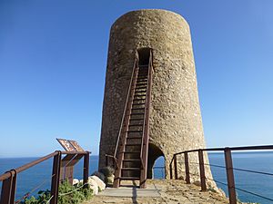 Archivo:Torre del Pirulico 05