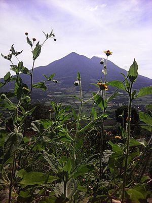 Archivo:Vista Volcan San Vicente 
