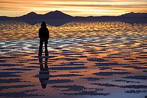 Archivo:Watching Sunset Salar de Uyuni Bolivia Luca Galuzzi 2006