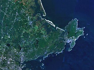 Wfm cape ann.jpg