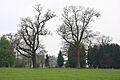 Wrotham Park - geograph.org.uk - 1257751