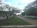 Yaxcopoil (Umán), Yucatán (04)